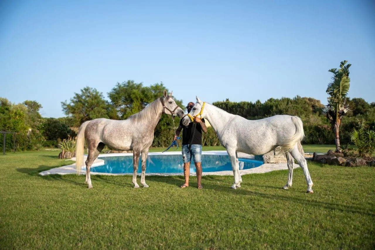 Agriturismo Santa Lucia Villa Tratalias Farm stay